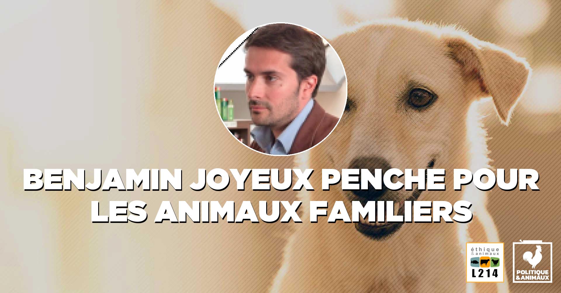 Animaux De Compagnie Benjamin Joyeux Politique Animaux