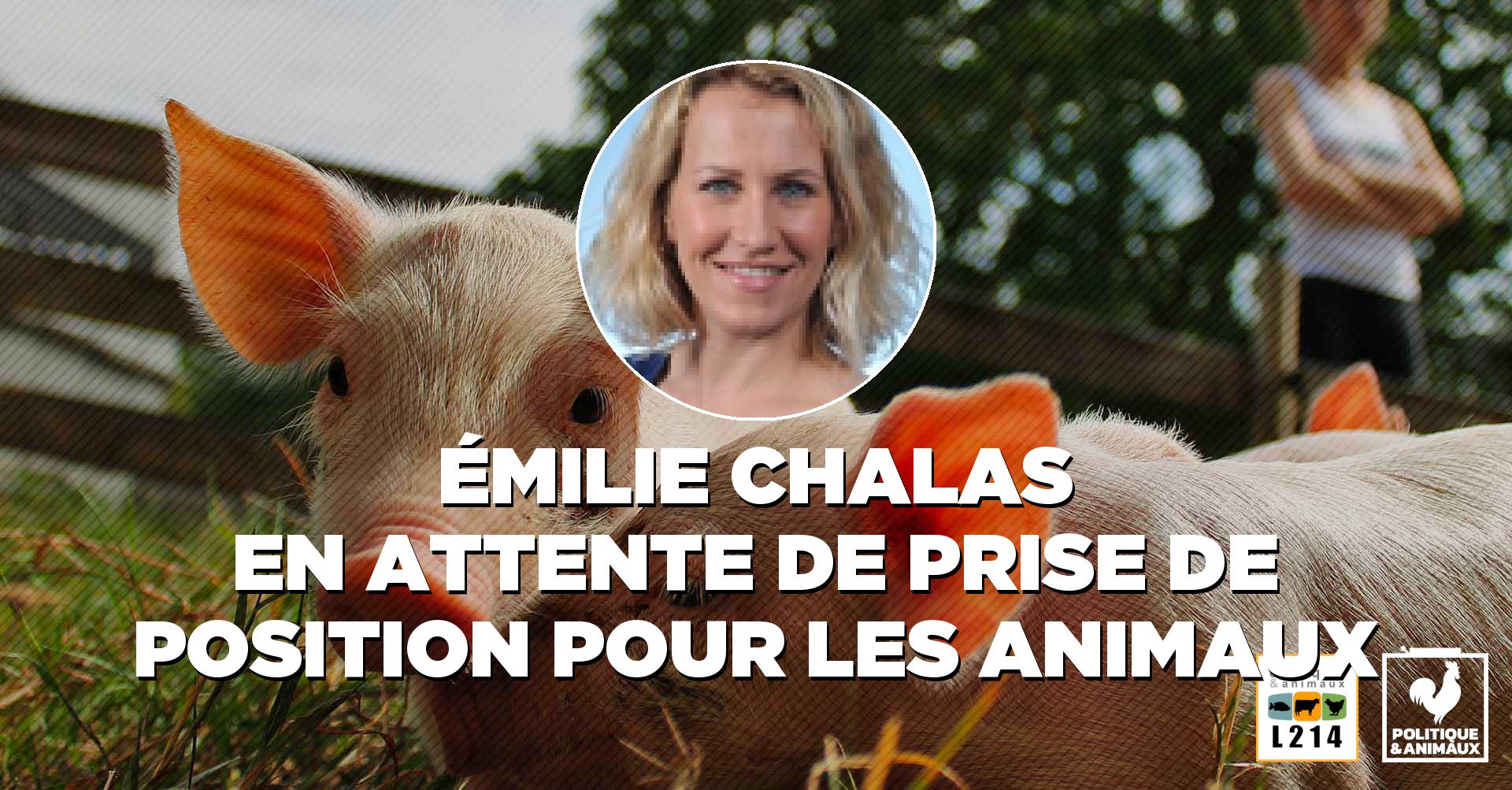 https://www.politique-animaux.fr/sites/www.politique-animaux.fr/fichiers/image-partage/politicien/emilie-chalas/emilie-chalas--animaux-droit-animal-10191.jpg