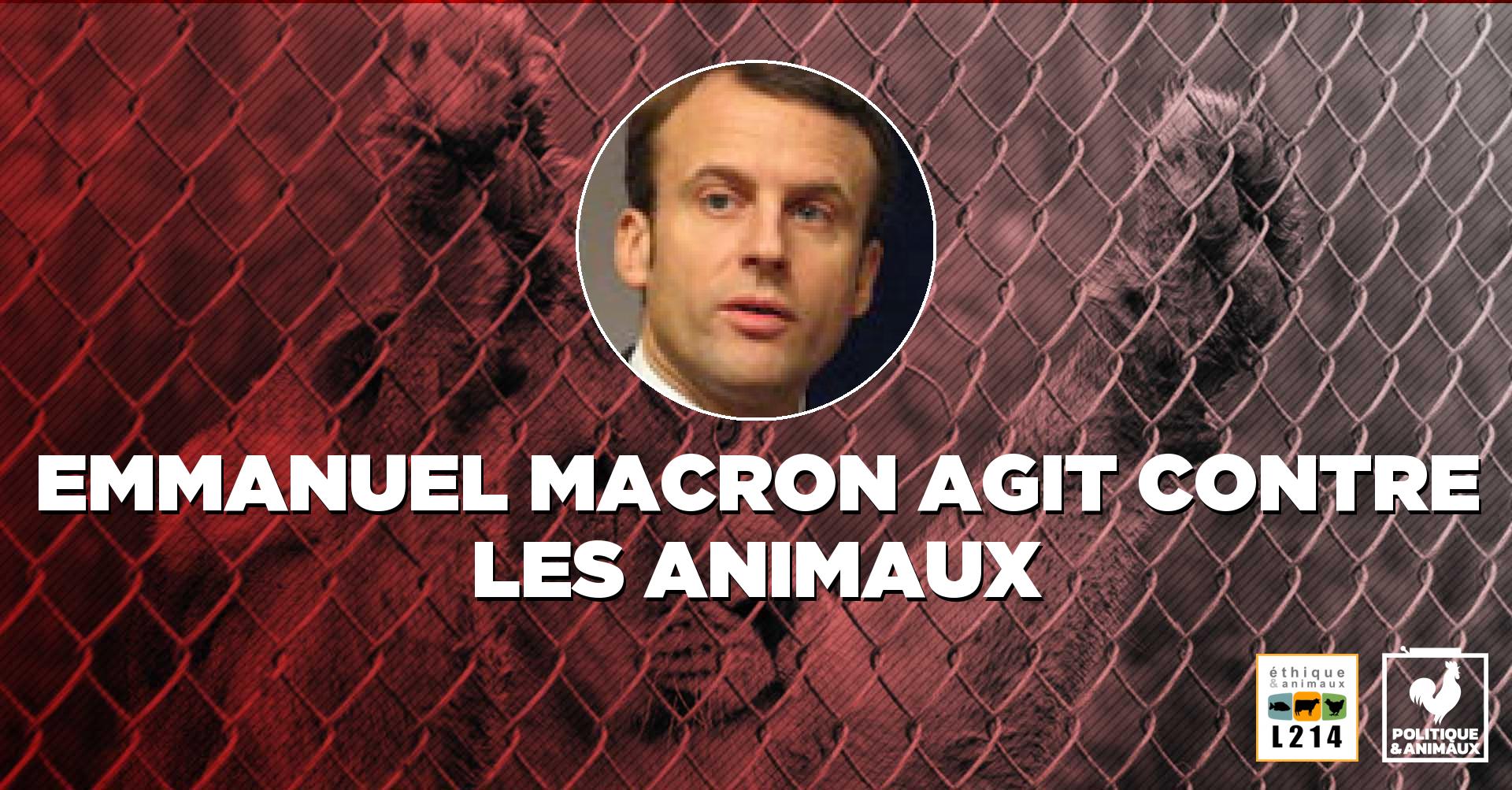 Emmanuel Macron Politique Animaux