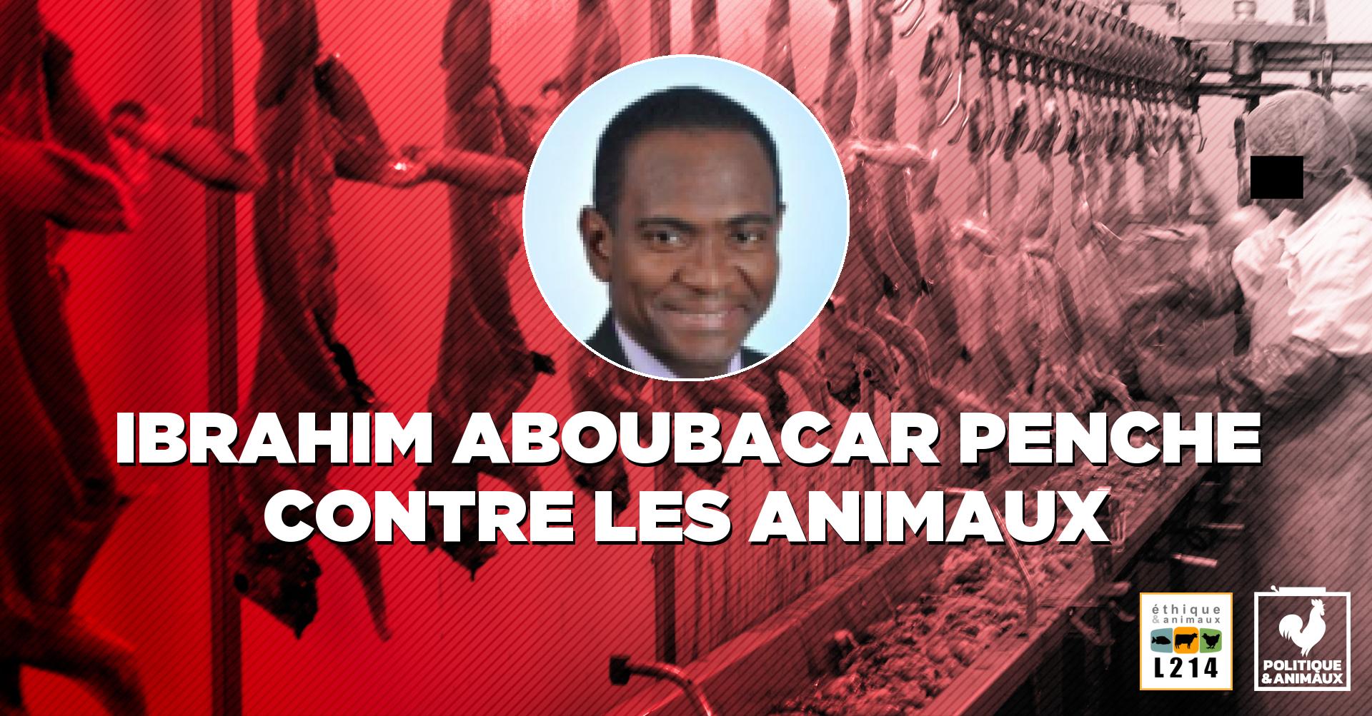 Ibrahim Aboubacar - Politique & Animaux