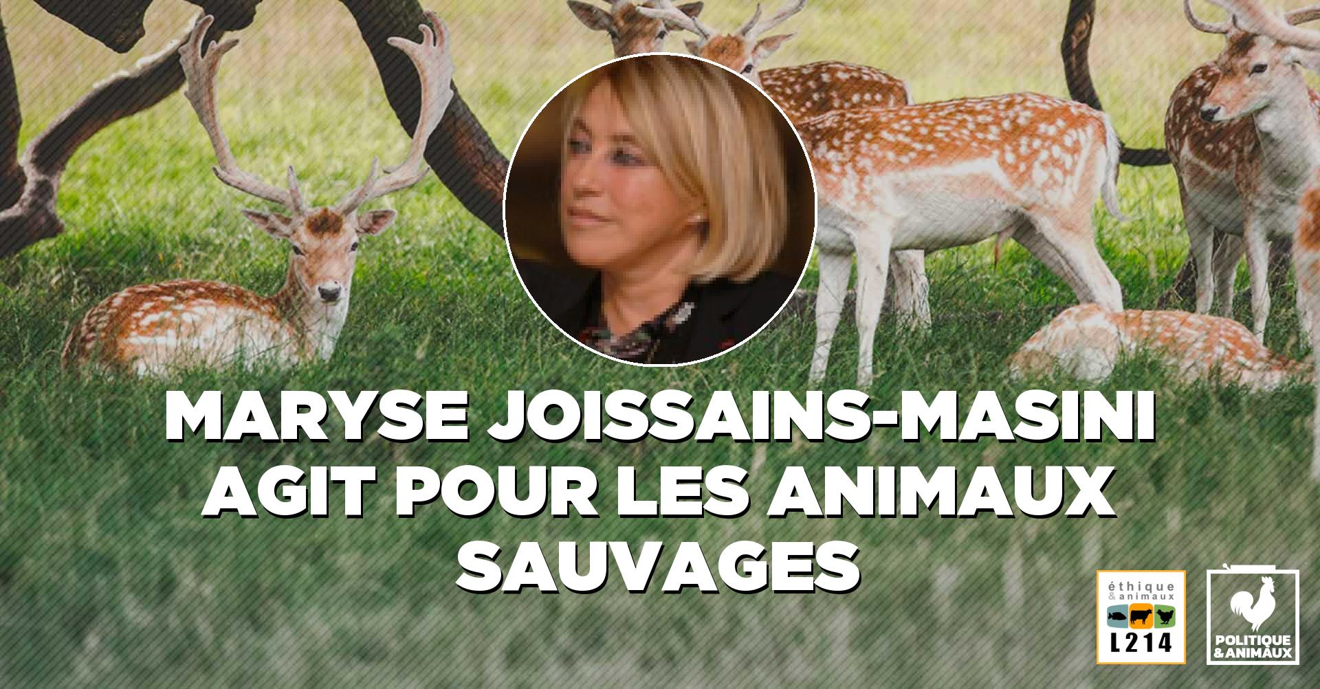 Chasse Maryse Joissains Masini Politique Animaux