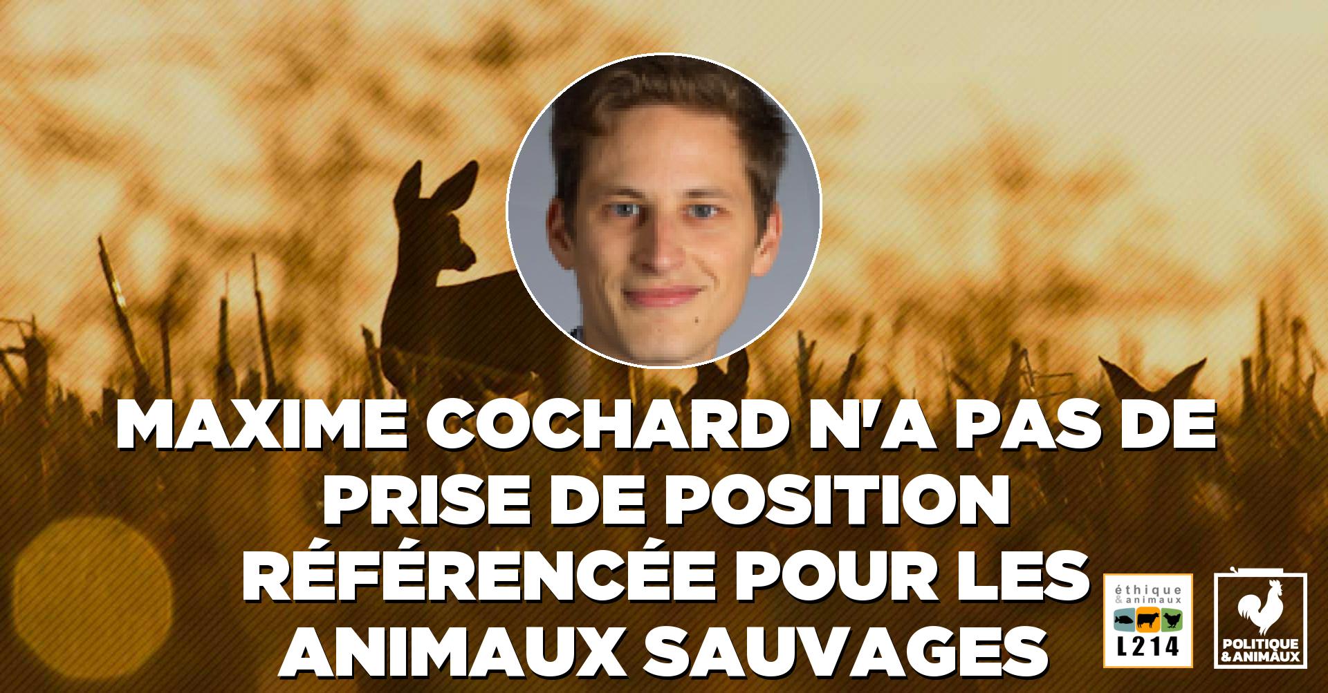 Chasse Maxime Cochard Politique Animaux