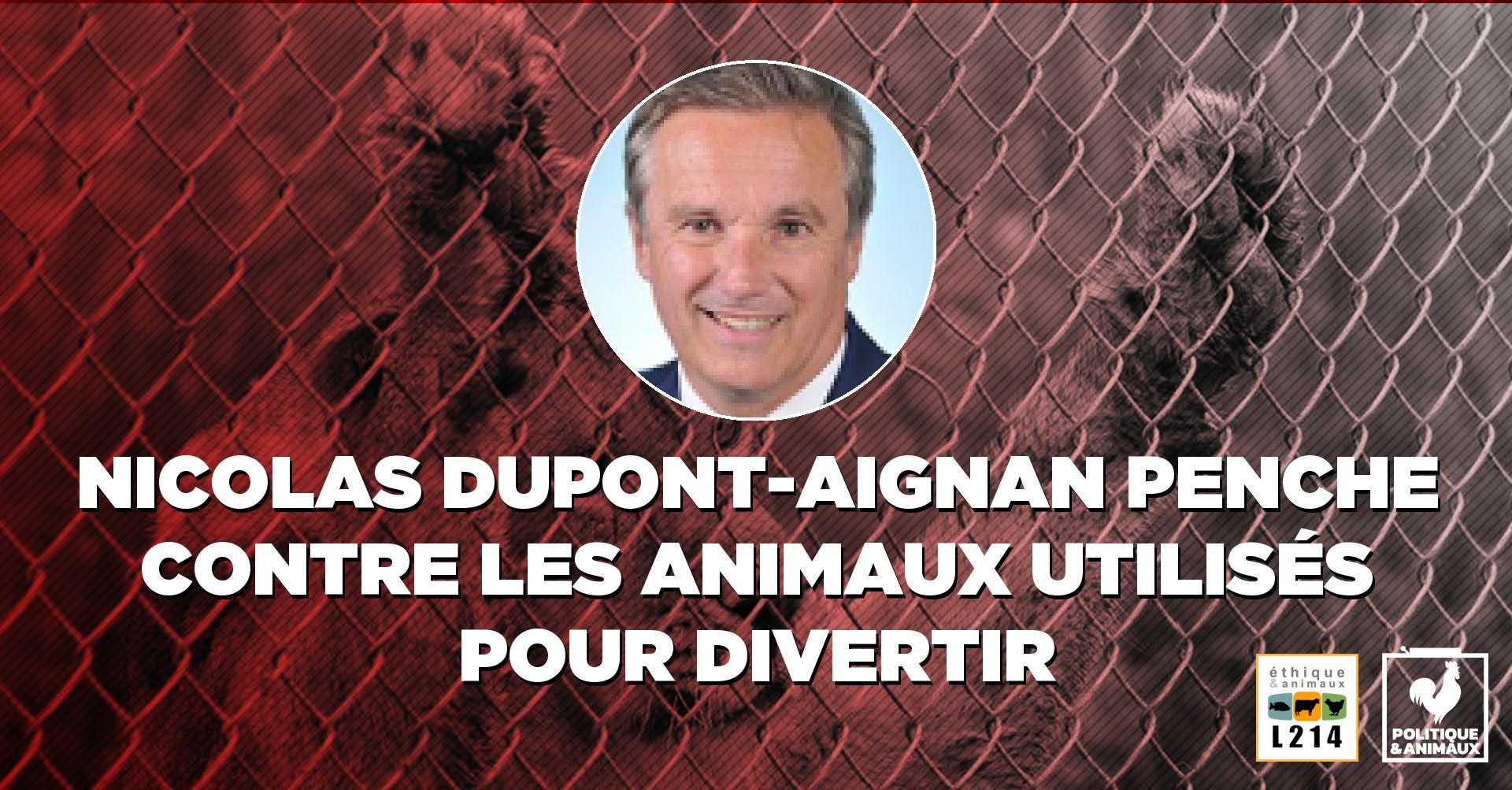 Zoo Cirque Nicolas Dupont Aignan Politique Animaux