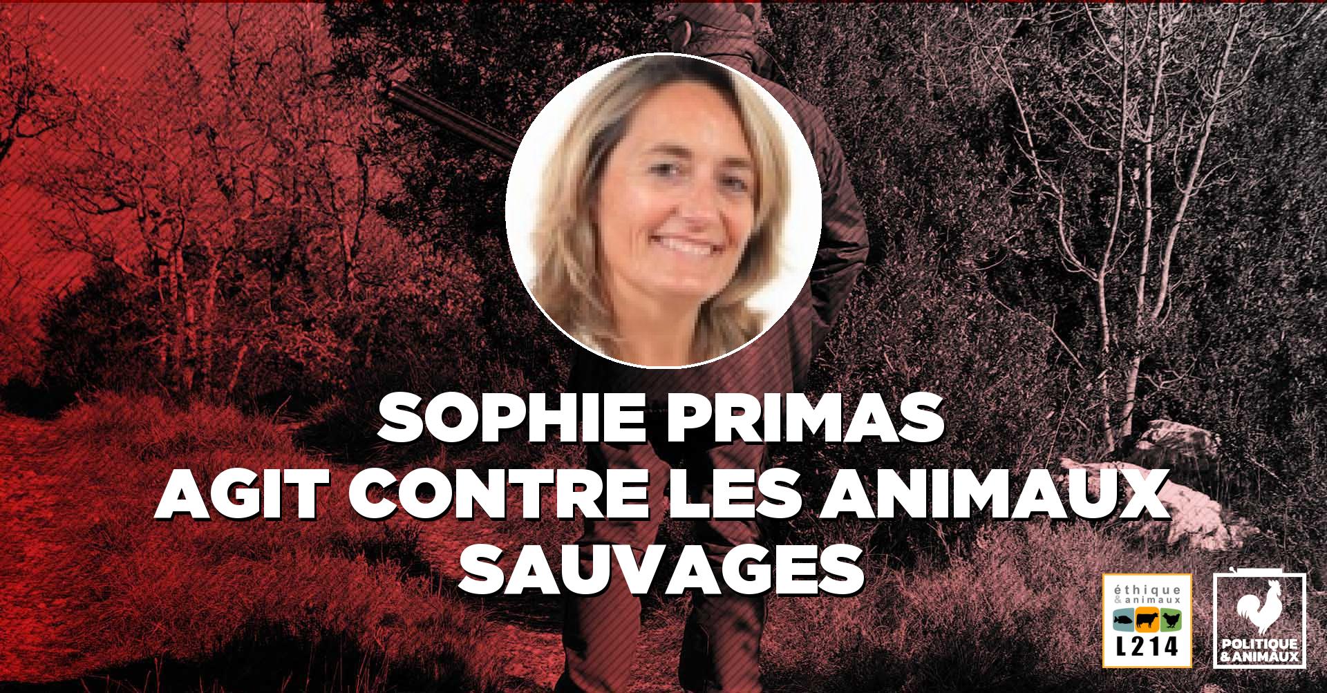 Chasse Sophie Primas Politique & animaux