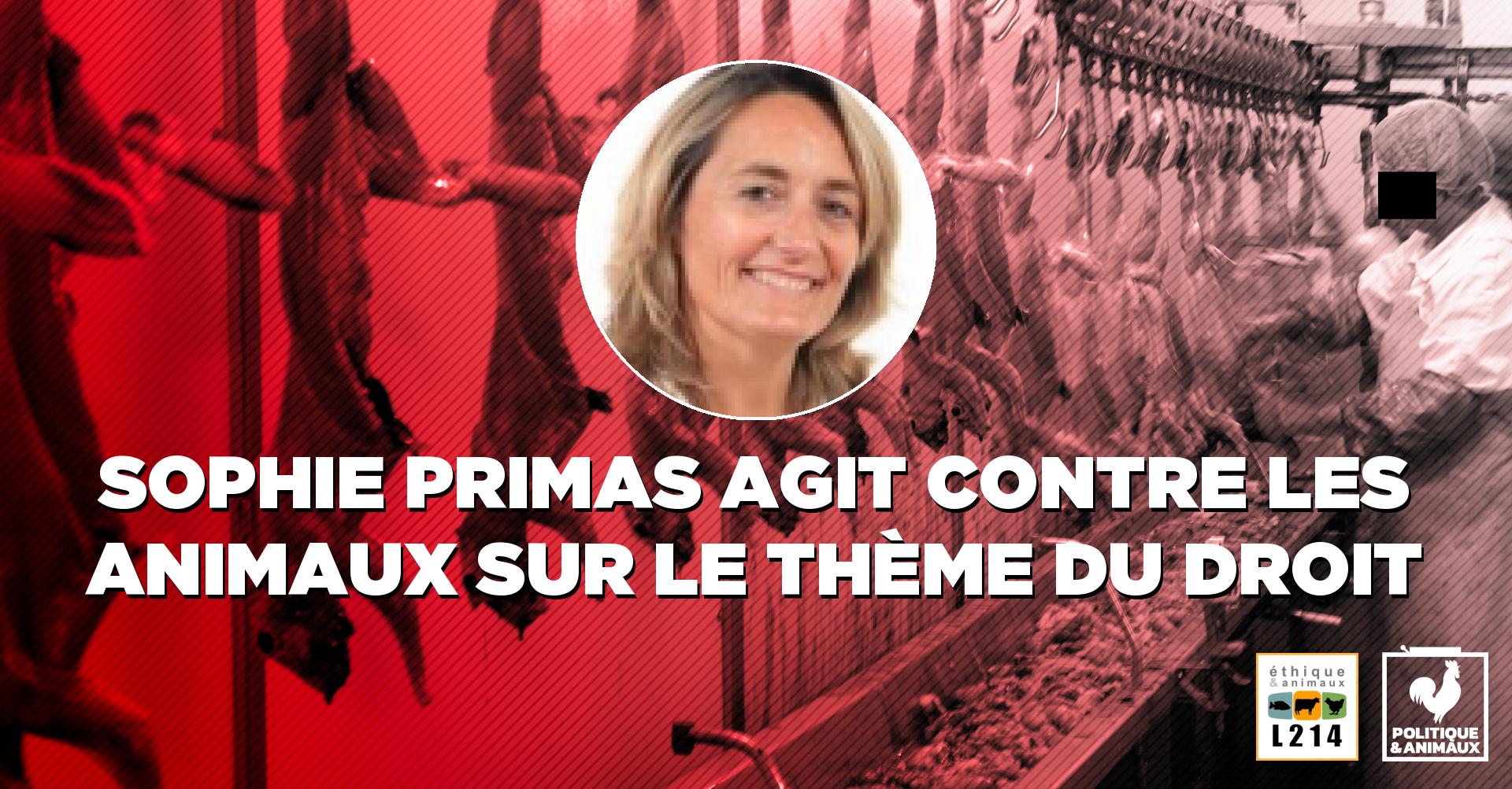 Droit animal Sophie Primas Politique & animaux