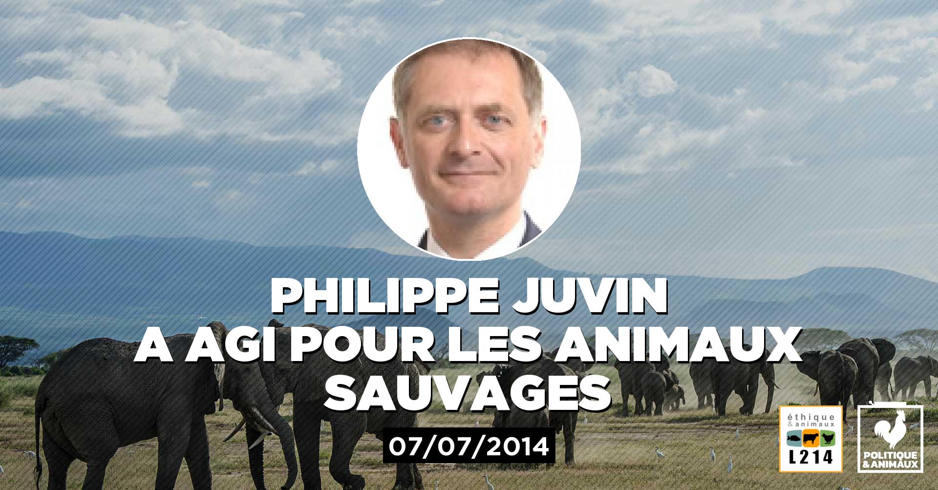 Philippe Juvin demande des mesures contre le commerce en ...
